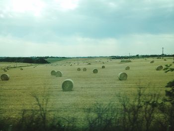 Scenic view of field against sky