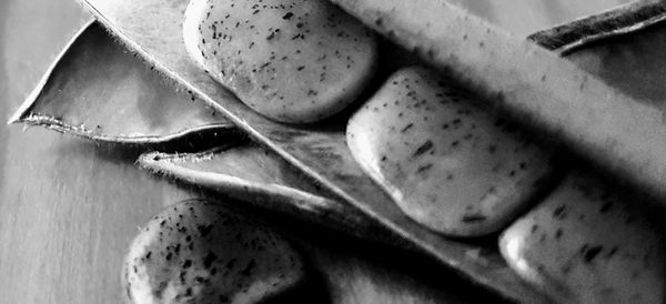 High angle view of bananas on table