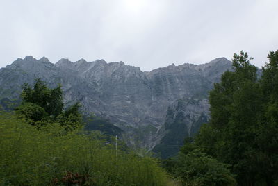 Scenic view of forest and mountains against sky