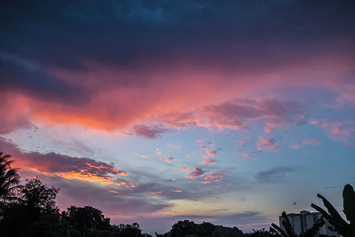 Low angle view of silhouette trees against dramatic sky