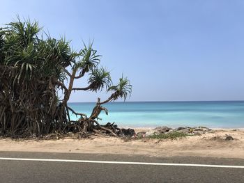 Scenic view of sea against clear sky