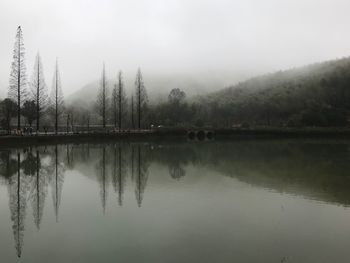 Scenic view of lake by trees against sky