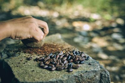 Close-up of hand holding bread