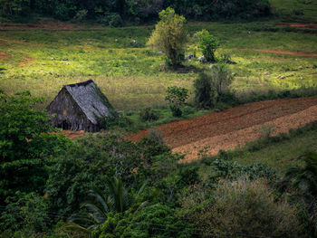 View of grassy field