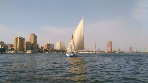 Sailboats in sea by modern buildings against sky