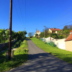 Empty road along trees