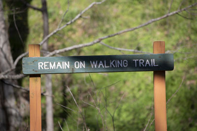 Close-up of road sign