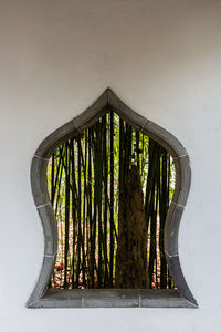 Close-up of window against wall