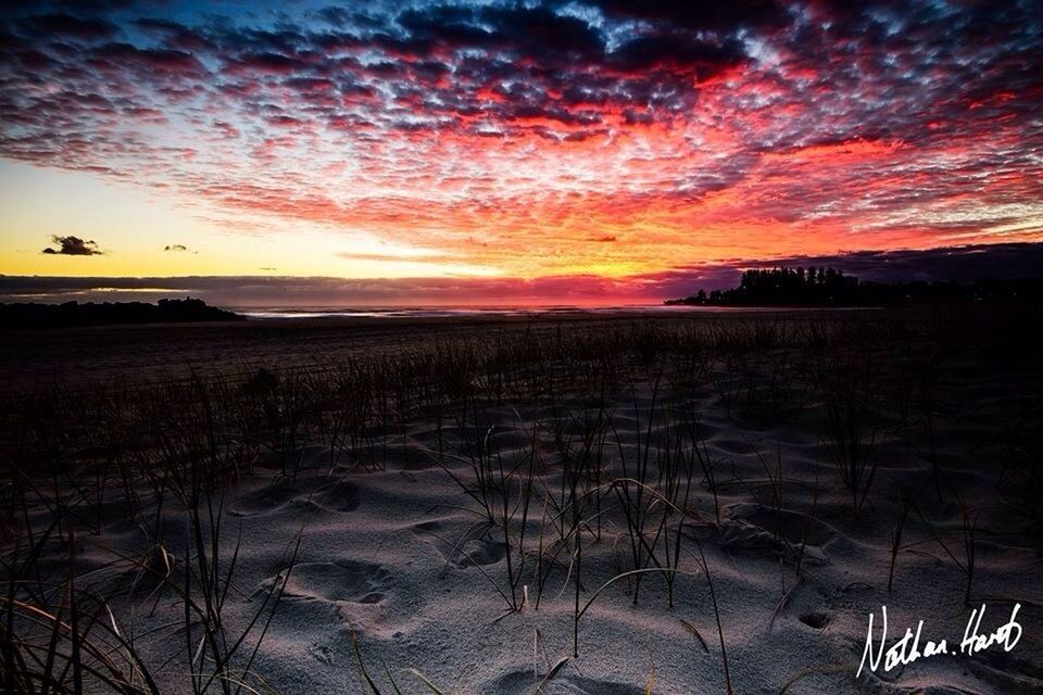 sunset, sky, cloud - sky, sea, scenics, tranquil scene, tranquility, water, beauty in nature, beach, horizon over water, orange color, cloudy, nature, cloud, idyllic, shore, sand, dramatic sky, dusk