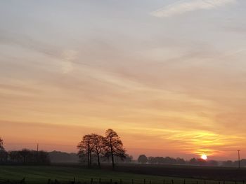 Silhouette trees on field against sky during sunset