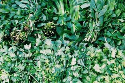 Full frame shot of vegetables at market stall