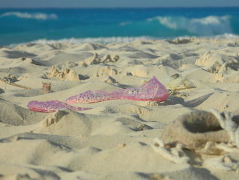 Close-up of starfish on beach against sky