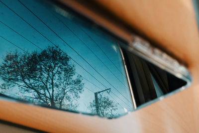 Reflection of trees on glass window