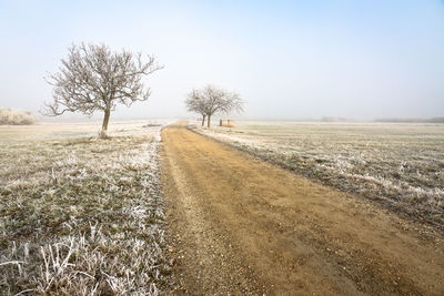 View of bare trees on field against clear sky