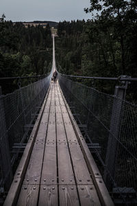 View of footbridge in forest