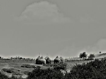 View of agricultural field against sky