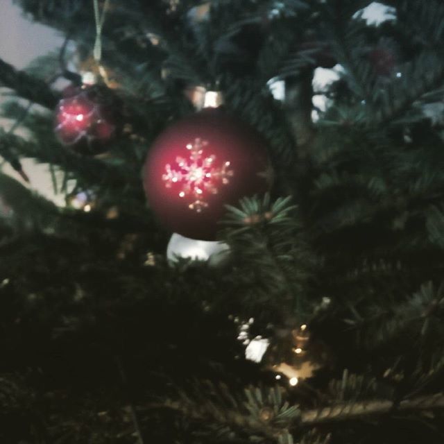 red, tree, fruit, branch, christmas, growth, close-up, focus on foreground, nature, christmas tree, hanging, low angle view, outdoors, no people, food and drink, christmas decoration, selective focus, celebration, christmas ornament, day