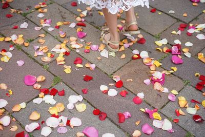 Low section of woman standing on footpath by petals during wedding