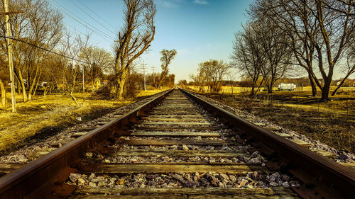 Railroad track along trees