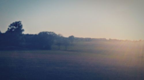 Scenic view of field against clear sky