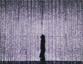 Silhouette woman standing on snow covered tree