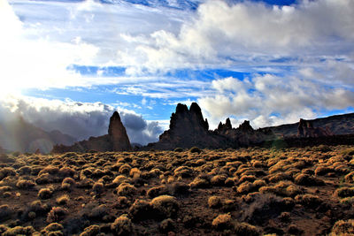 Panoramic view of landscape against sky