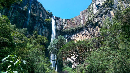 Scenic view of waterfall