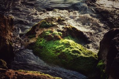 Stream flowing through rocks