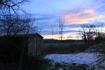 Bare trees against sky during winter