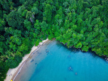 High angle view of swimming pool