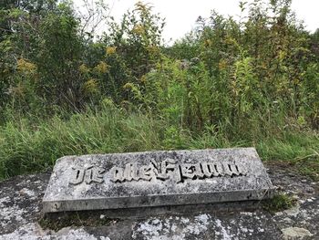 Text on plant against sky