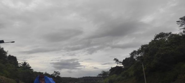 Low angle view of trees against sky