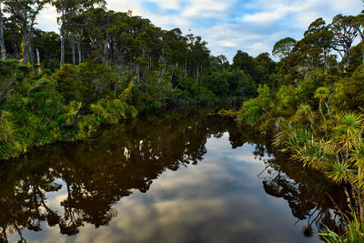 Reflection of trees in lake against sky