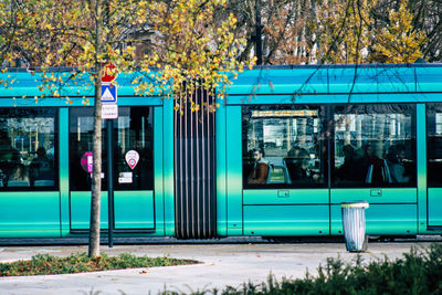 Trees by street in city