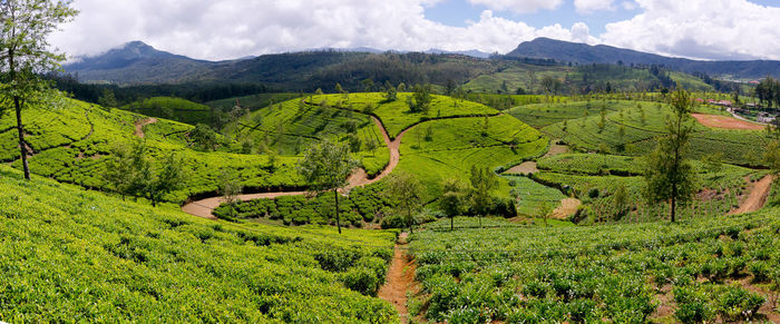 High angle view of green landscape against sky