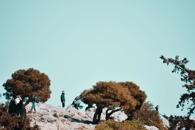 People standing by trees against clear sky