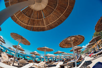 Low angle view of thatched roof parasols against clear blue sky