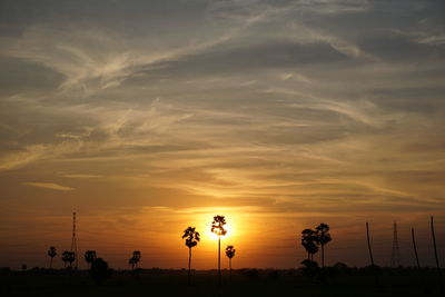 Silhouette trees against sky during sunset