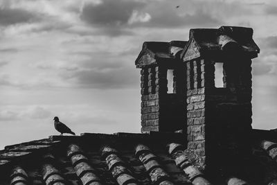 Low angle view of bird perching on abandoned building against sky