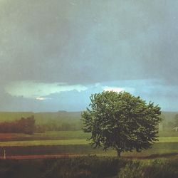 Scenic view of grassy field against sky