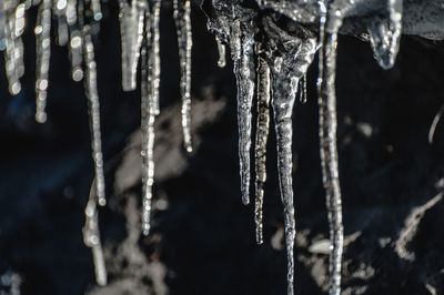 Close-up of frozen spider web