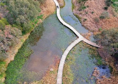 High angle view of river amidst trees