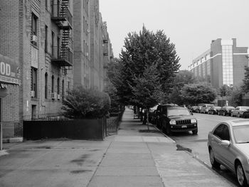 Cars on road by trees against sky in city