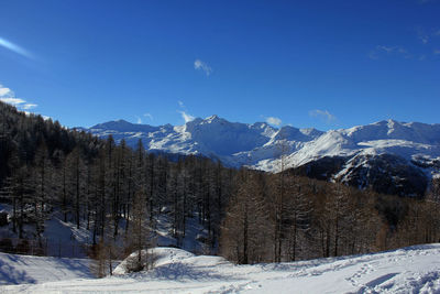 Scenic view of snowcapped mountains against clear blue sky