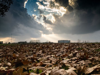 Surface level of land against sky