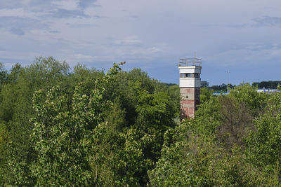 Plants growing by building against sky