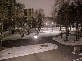 Illuminated street light and bare trees in city at night