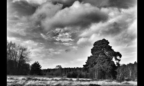 Scenic view of grassy field against cloudy sky
