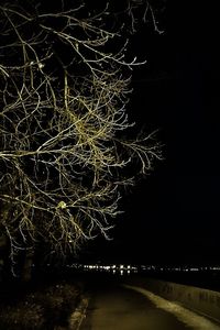 Light trails at night