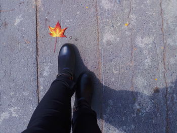 Low section of man standing by maple leaf on footpath